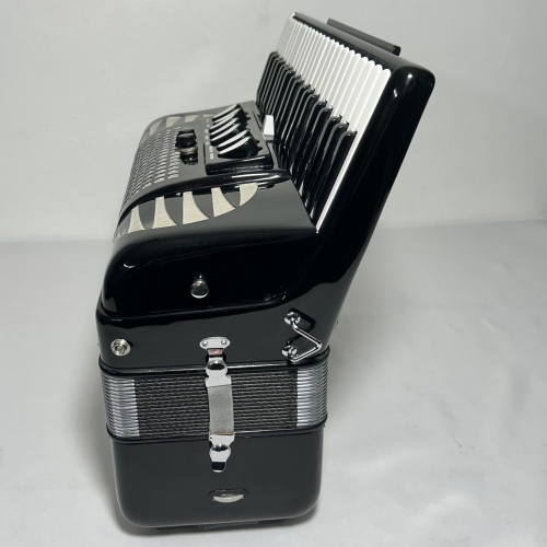 Acordeon Excelsiola Terça Oitavada - 7/3 Reg - 9.5 kg - 44,5 cm