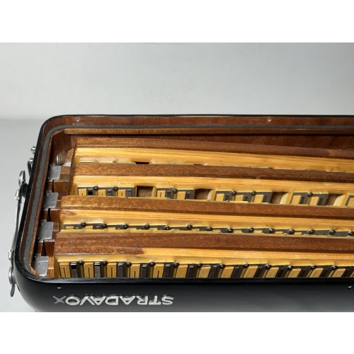 Acordeon Stradavox - Polifônica - 11/5 Registros - 11.7 kg - 49 cm 